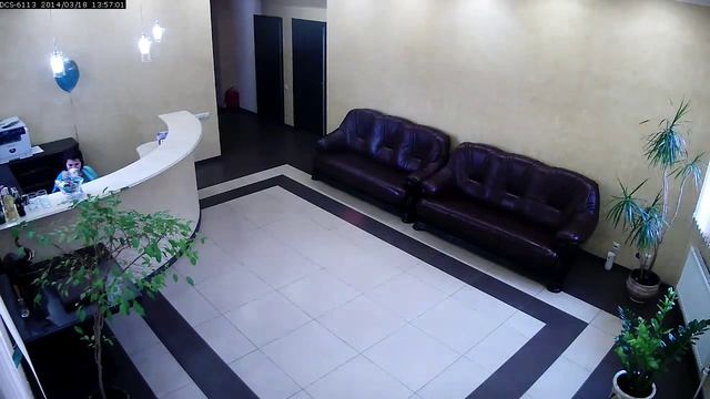 D-Link DCS-6113 example смотреть онлайн