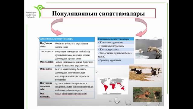 популяция смотреть онлайн