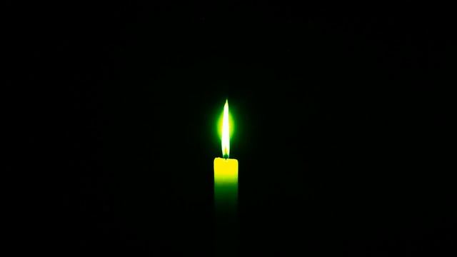 НАСТОЯЩИЙ ЛЕШИЙ В ЛЕСУ