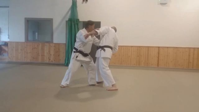 Saiko Shihan Yoshihiko Iwasaki Performance смотреть онлайн