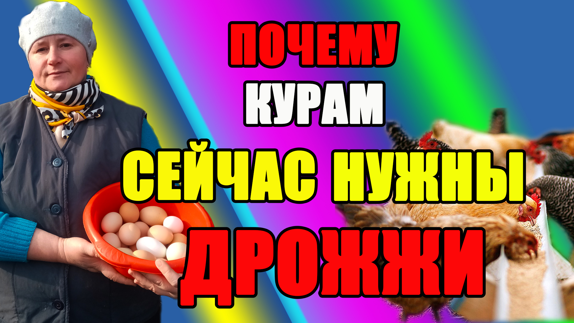 Зачем курам сейчас ДРОЖЖИ. Как добавлять дрожжи в корм. смотреть онлайн