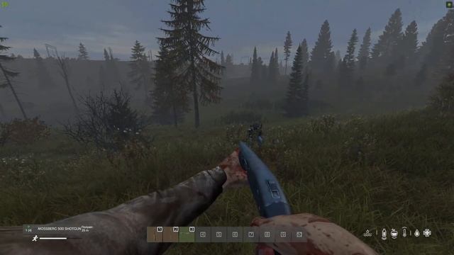 Рыба на Воле