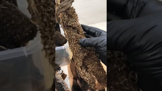 Семейные путешествия на машине