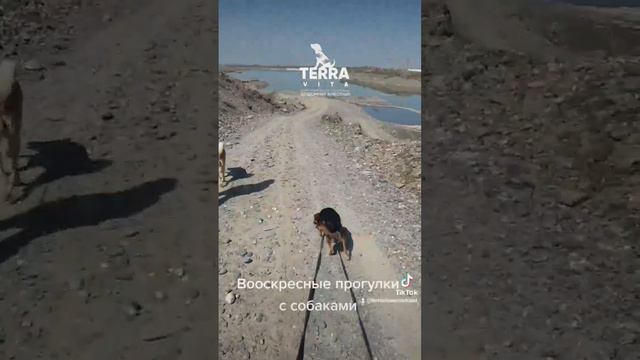 воскресные прогулки смотреть онлайн