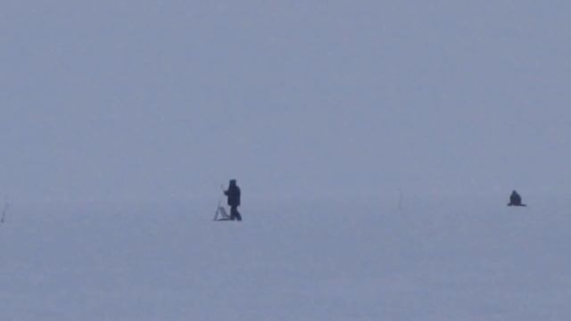 Крупный судак, или где его искать село Жигули в Самарской смотреть онлайн