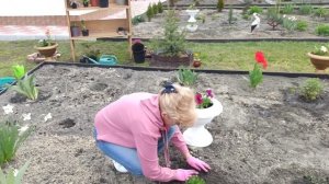 Самая красивая многогранная клумба своими руками