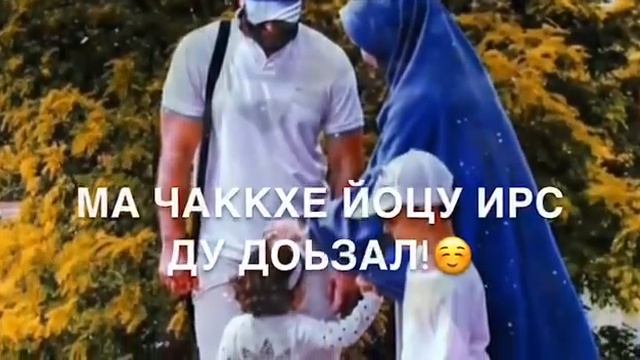 Доьзалан❤️ смотреть онлайн