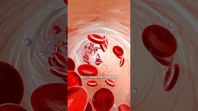 Гемоглобин: что важно знать перед операцией? смотреть онлайн