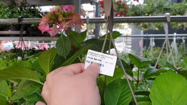 Сборы и переезд на дачу.Покупка рассады цветов в питомнике саженцев.Наша дача.Мама оценивает.Влог смотреть онлайн