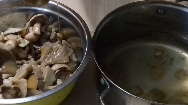 Вкусные рецепты с грибами