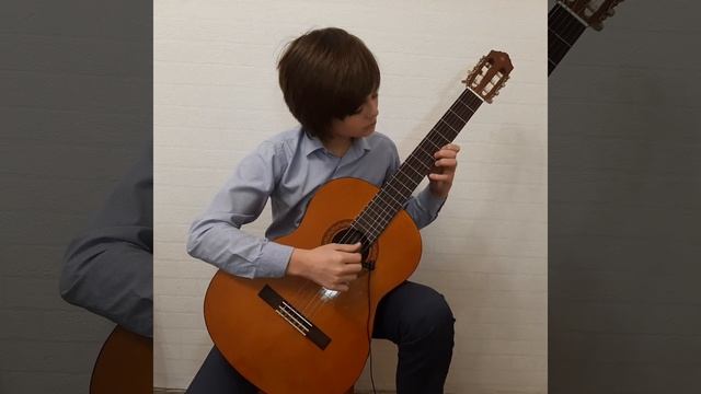 Русская народная песня "Я на камушке сижу". Обработка А. Иванова-Крамского. Исполняет А. Галин. смотреть онлайн