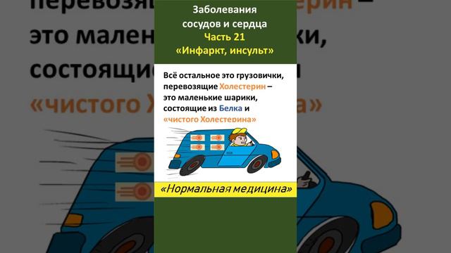 Три основных "вида" холестерина смотреть онлайн