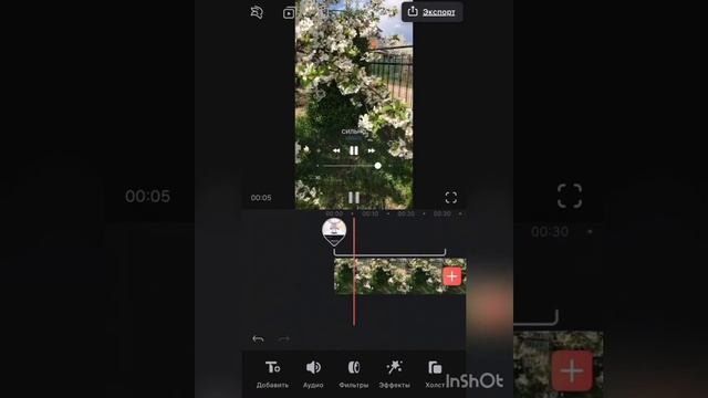 как вставить плеер на видео смотреть онлайн