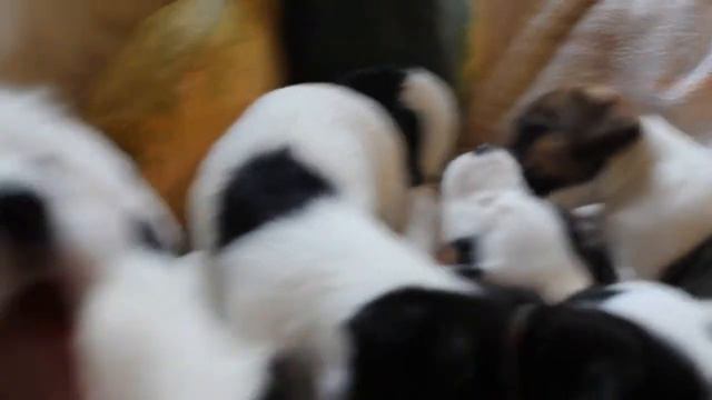 помёты Ю и Я смотреть онлайн