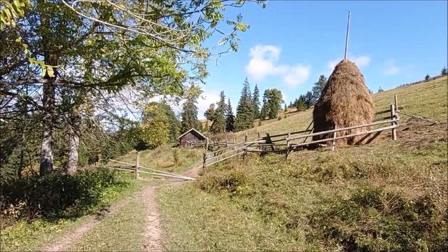 Татьяна Комарницкая (12+) "Как любить" христианский стих смотреть онлайн