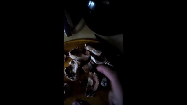 Королевский шампиньон,как чистить смотреть онлайн