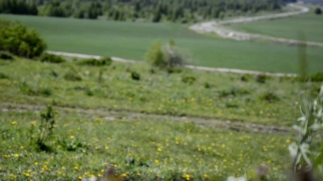 Панорама (гора Крестовая) | Лёгкий поход | г. Риддер смотреть онлайн