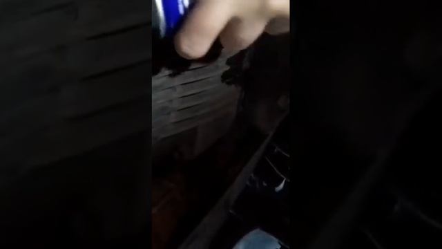 Уаз дёргается при трогании? смотреть онлайн