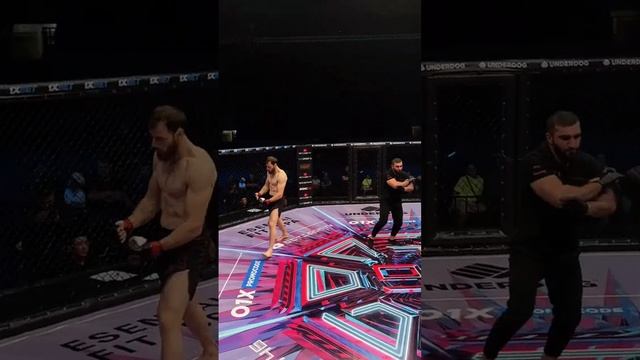 Вырубил с одного удара. Керим Даидов Vs Клаудио Роча