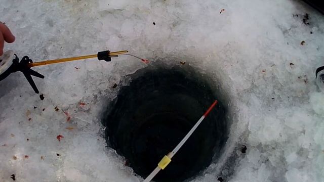 Озеро Иван 21.03.2021 ловля окуня. Забайкальский край смотреть онлайн