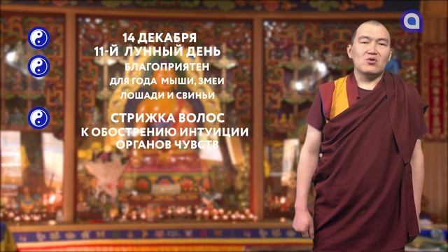 Зурхай на 14.12.2021 смотреть онлайн