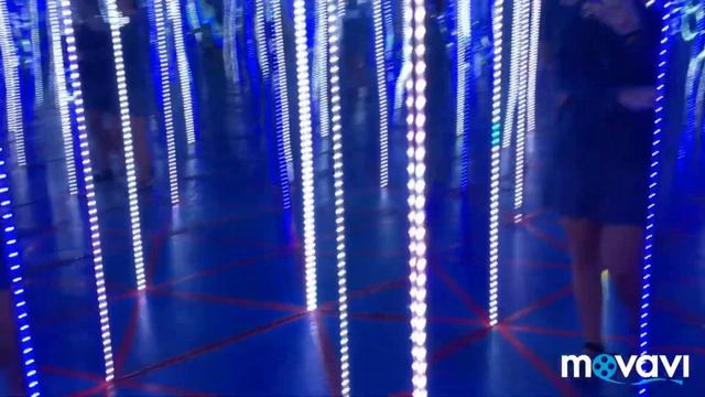 VLOG|Начало шторма /Дельфины на береге??? смотреть онлайн