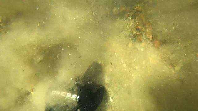 GRUSELIGE DINGE beim Tauchen GEFUNDEN.. 😳 (ungewöhnliche Schatzsuche Unterwasser mit Metalldetektor смотреть онлайн