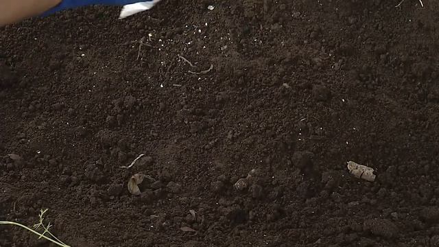 Осенняя подкормка плодовых кустарников и деревьев смотреть онлайн