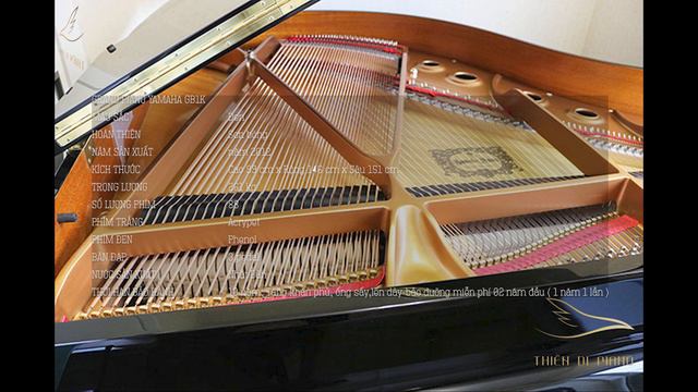 Grand Piano Yamaha GB1K - Thiên Di Piano смотреть онлайн