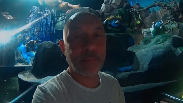 Frozen / Getting stuck on Frozen attracation / How Frozen Froze - EPCOT смотреть онлайн