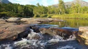 Антонио Вивальди - Времена года. Лето. Часть 1: Аллегро нон мольто