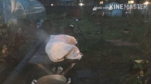 ЗАБОЙ ВЬЕТНАМСКОГО ПОРОСЁНКА! ЧИСТИМ ТУШУ КЕРХЕРОМ! КАК ПАРИТЬ И ЗАЧЕМ! ВЫХОД МЯСА!