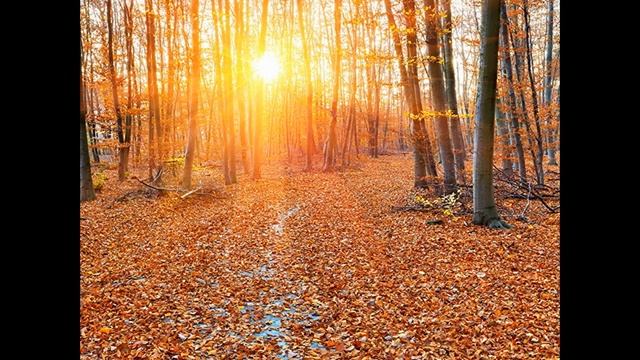 Осень крутая смотреть онлайн