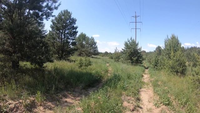 Одиночный поход в Припять. Дикие животные подошли совсем близко. Девчонка в ЧЗО. Bushcraft. Часть 2 смотреть онлайн