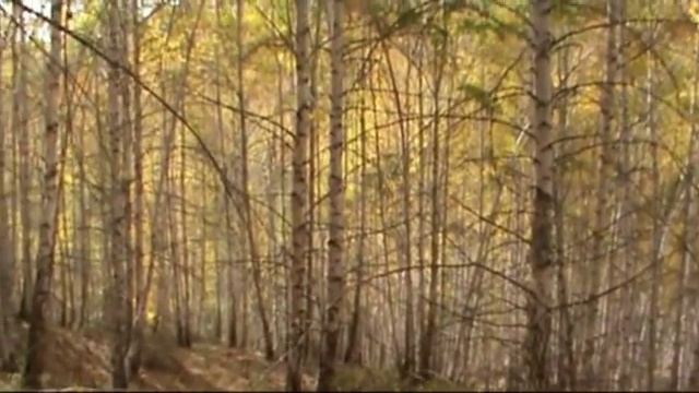 Kichi-Kemin. Kyrgyzstan. Кичи-Кемин. Кыргызстан. смотреть онлайн