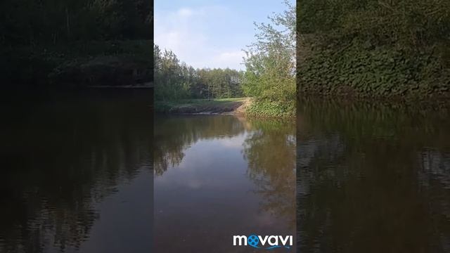 Базарный карабулак-Балтай смотреть онлайн