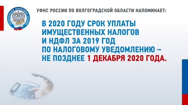У жителей региона истекает срок уплаты имущественных налогов смотреть онлайн