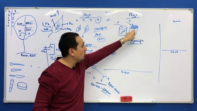 Biologiya | 5-sinf Botanika | 1-dars