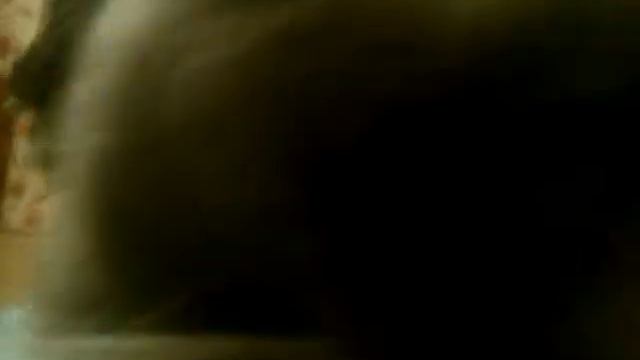 Кот на животе смотреть онлайн