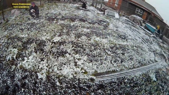 17 мая выпал снег в Сибири Кемеровская область Кузбасс аномальная весна в Сибири | Жизнь в селе смотреть онлайн