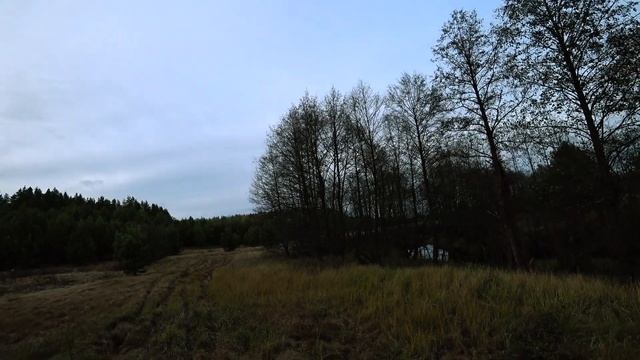 Ни бензина, ни воды, ни чего- ТОЛЬКО НИВА, ГЛУХИЕ МЕСТА ДИКИЕ ЗВЕРИ!! смотреть онлайн
