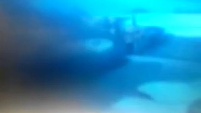 Angry Birds Toons Episode 44 Hambo (HD) смотреть онлайн