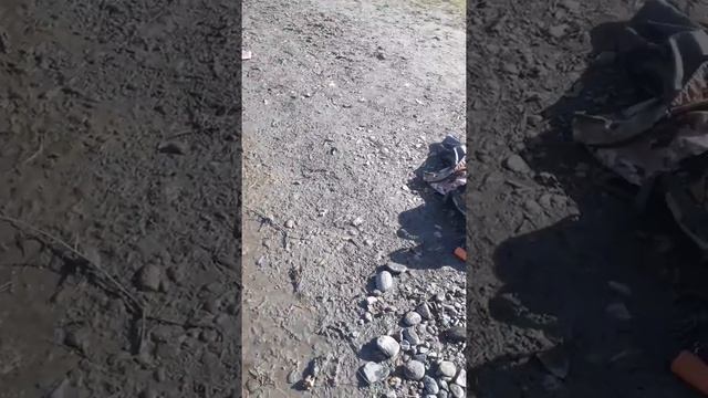 Река Китой порадовала смотреть онлайн