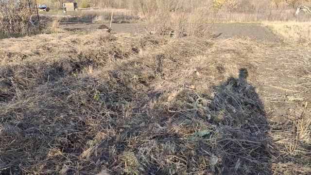 Мульчирование соломой, грядки под соломой смотреть онлайн