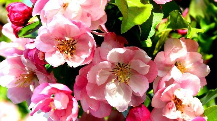 _Вифлеем. Город Иисуса.