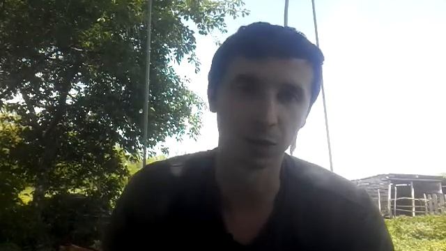 Какие корма лучше для кормления КРС? Проводим исследования. смотреть онлайн