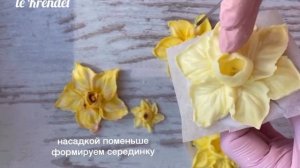 Цветы из айсинга, нарцисс