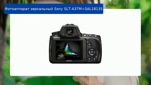 Фотоаппарат зеркальный Sony SLT-A37M+SAL18135 обзор и отзыв смотреть онлайн