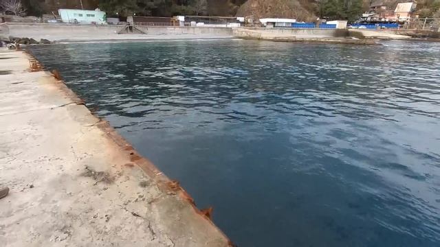 ПАРТЕНИТ/Набережная/Прогулка смотреть онлайн