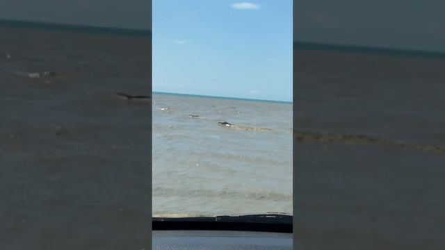 Копил всю жизнь что-бы приехать на мое а тут… смотреть онлайн